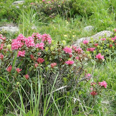 Ferienwohnung Kogelblick Ebensee Dış mekan fotoğraf