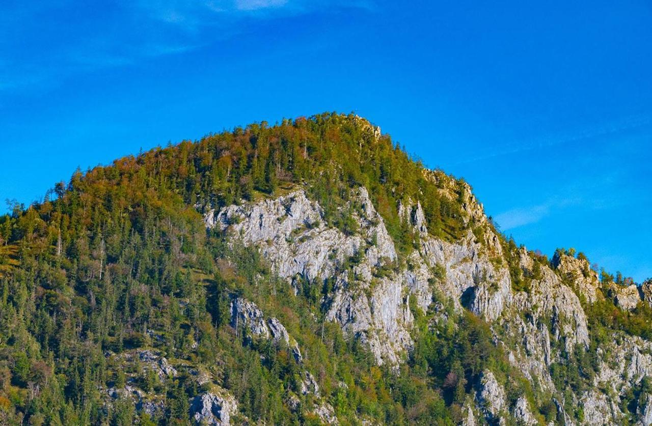 Ferienwohnung Kogelblick Ebensee Dış mekan fotoğraf